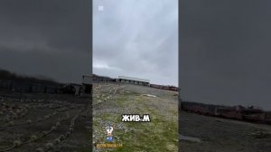 Я решил съездить на вахту и вот что из этого вышло