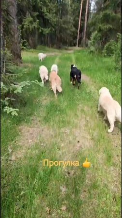 Каникулы наступили!!!