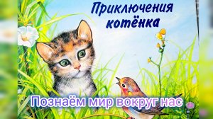 ПРИКЛЮЧЕНИЯ КОТЁНКА. (познаём мир вокруг нас)