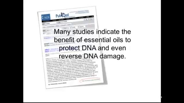 Д-р Хил за DDR Prime смотреть онлайн