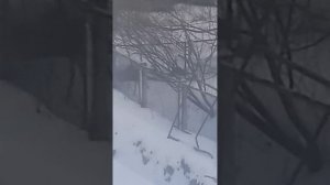 Пьяный бомж умер и воскрес