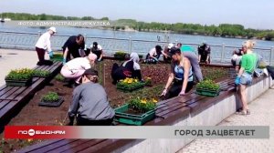 В Иркутске создают букет из 420 тысяч цветов