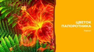 #Аврора #гадание Цветок папоротника