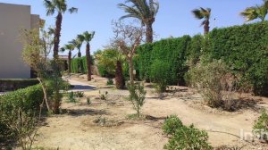 Отель Sun bay beach resort Сафага Египет