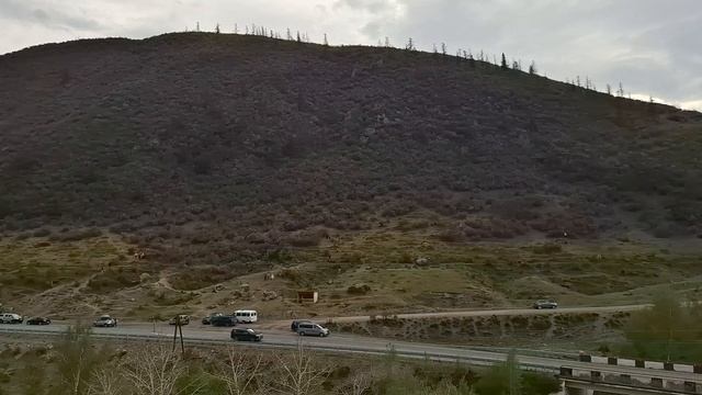 Еламан в цветущем маральнике | Весенний Алтай с АлтайТурМаркет