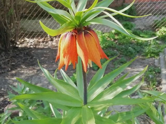 Про весну - 2021 год смотреть онлайн