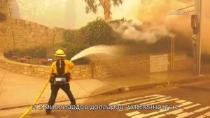 Пожар в Калифорнии - мнение реального эксперта
