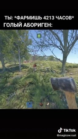 RUST Когда ты "Фармишь 4213 Часов"