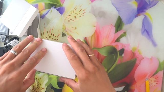 Купил две крутые камеры для улучшения контента!|Распа? смотреть онлайн