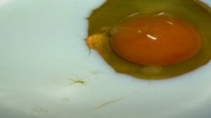 Филе пангасиуса в кляре