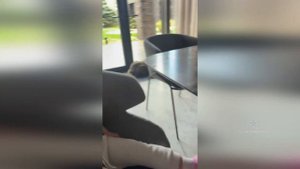 Дочка Ольги Орловой захотела покушать чак чак!