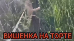 КУШАЙ, ПЕЙ И НЕ ХУДЕЙ, ПОПРАВЛЯЙСЯ ПОЖИРНЕЙ! ОЛЬГА УРАЛ