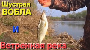 🔥Ветренная река и резкая ВОБЛА🔥первый заброс на низовьях Волги!! Астрахань-2025 !!!