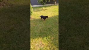 VID-20250527-WA0084