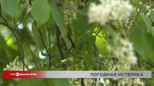 На 2-6 градусов ниже нормы опустится температура на неделе в Иркутской области