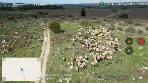 Drone-Hacks на Mavic Mini 3 Pro – делюсь впечатлениями и тестирую!