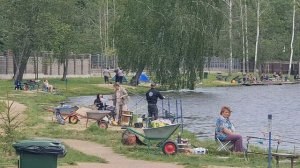 Поимка амура