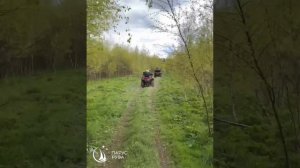 Поездка на ферму 10.05.25