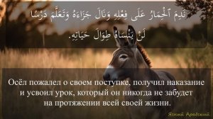 Арабский язык на слух. Рассказ с переводом для уровня ?