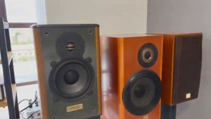 Даже японцы любят эту акустику (Victor sx 500 dolce eterno)