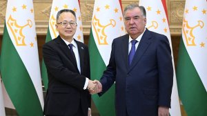 Эмомали Рахмон и вице-президент Азиатского банка развития обсудили укрепление сотрудничества