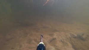 ЗАСТРЕЛИЛ СОМА, ЩУКУ.ПОДВОДНАЯ ОХОТА.ДОМ ПОД ВОДОЙ