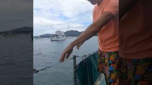 КАК НЕ ВЫПАСТЬ ЗА БОРТ? Леера, сетки, ограждения...