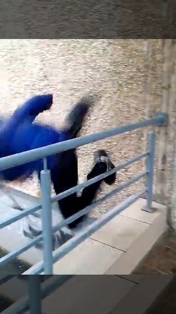 Падение олимпа смотреть онлайн