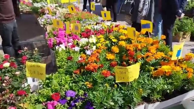 2022 год, лето в городе Лахти смотреть онлайн