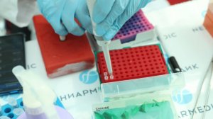 Все чисто: пляжи Крыма и Севастополя безопасны для отдыха