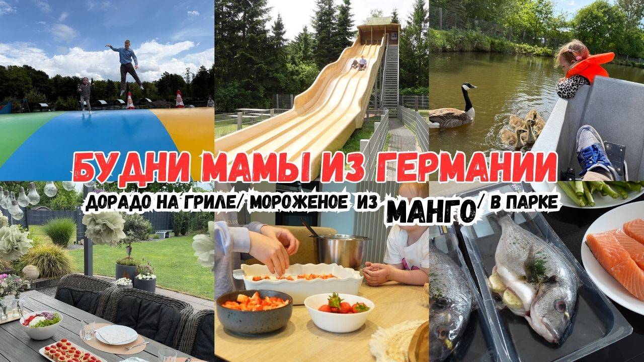 VLOG🇩🇪: ПЕРВЫЙ РАЗ ТАК ГОТОВЛЮ 🐟 КТО ЛЮБИТ МАНГО, попробуйте 👍🏻ПОЕХАЛИ В ЗООПАРК 🐒🦘