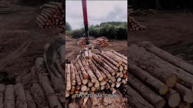 ПРОСТО ВАХТОВИК, Лесозаготовка