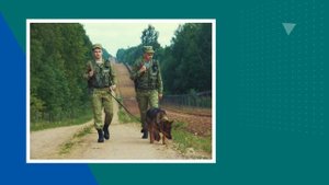 День_пограничника