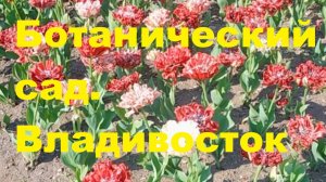 Ботанического сада. Владивосток.
2025