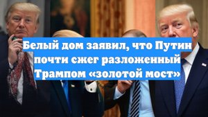 Белый дом заявил, что Путин почти сжег разложенный Трампом «золотой мост»