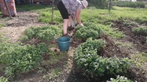 Ирина и творения. 25 мая.