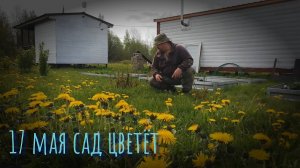 17.05.2025 Мой сад цветет.