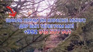 караоке минус кади мавзун караоке точики минуси точик