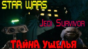 Star Wars Jedi Survivor раскрыть тайну ущелья, озвучка от GamesVoice.