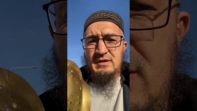 Стельки Виеда Whieda