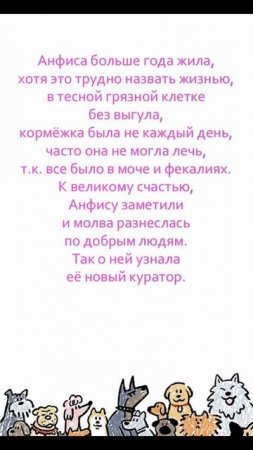 Анфиса - собака с протезом на лапе и с огромным добрым сердцем! ❤🐶