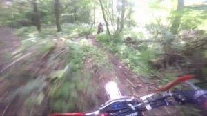 покатушки по лесу на PROCIDA k1 PR300 немного грязи) эндуро па