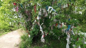 Сарапульский утёс. Место силы.