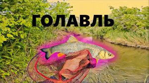 За ГОЛАВЛЕМ на МИКРОРЕЧКУ