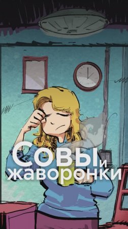 ХРОНОТИПЫ человека: кто такие СОВЫ, ЖАВОРОНКИ и т.д.