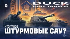 Штурм САУ