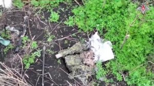 Беспилотники уничтожают врага на всех направлениях