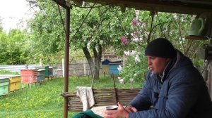 Как сделать искусственный рой? Лёгкий способ вывести ?