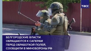Белгородские власти обращаются к саперам перед обработкой полей, сообщили в Минобороны РФ