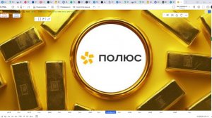Обзор акции ПОЛЮС.